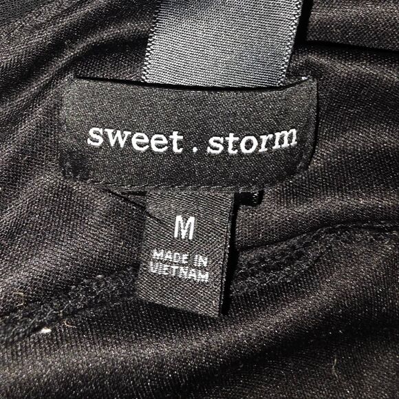 Sweet Storm Black Gothic / Fitted Dress Sheer Sleeves - Picture 3 of 3